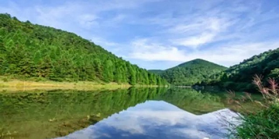 濱州戴森車輪科技有限公司清潔生產(chǎn)信息公示